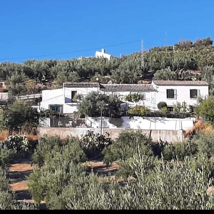Cortijo El Cerro Apartment Алкаудете Екстериор снимка